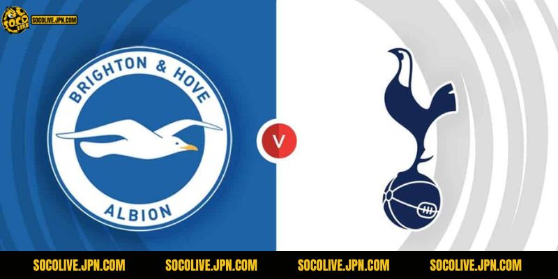 Brington có thể cầm cân "gà trống" tại sân nhà của mình